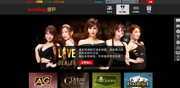 bodog